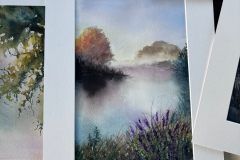 FB_IMG_1770049096208