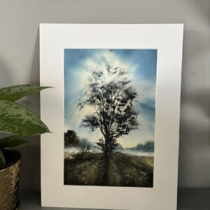 stare drzewo (kopia)